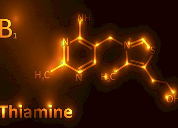 £535,000 Claim For Failed Thiamine Deficiency Diagnosis