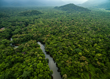 Medical Solicitors to Donate a Percentage of Profits to Cool Earth to Combat the Climate Crisis